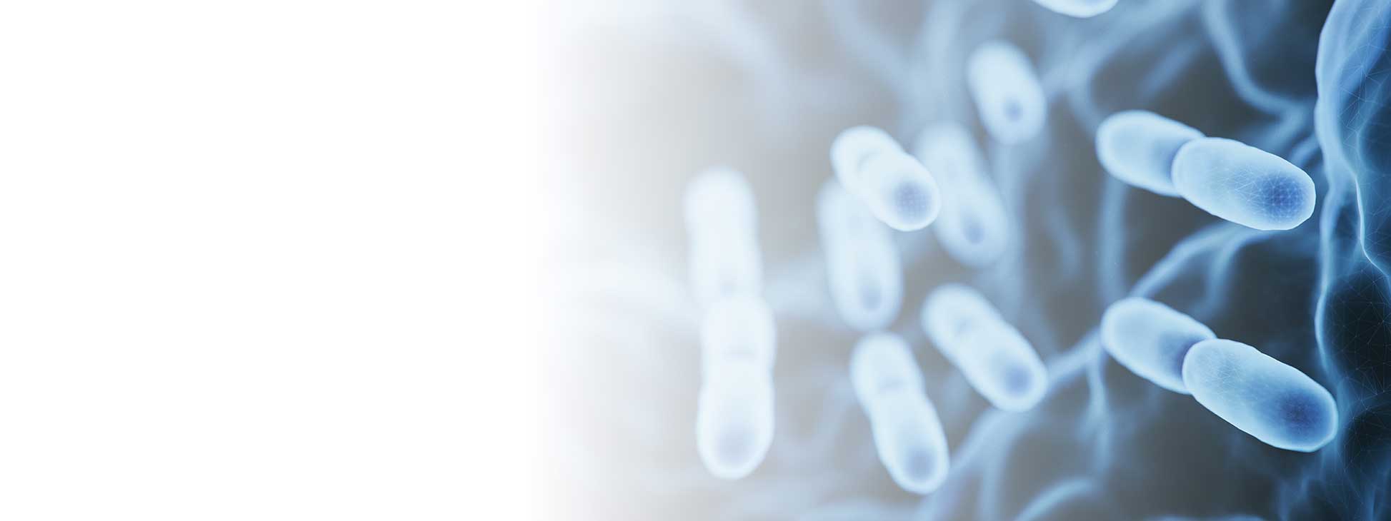 Annons:TI 2452-miclev-ba-wf-2512192.jpg