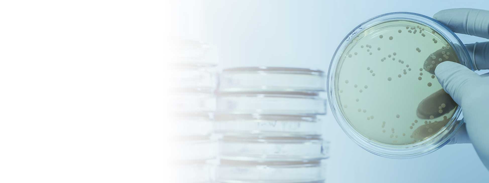 Annons:MA 2452-miclev-ba-wf-2512193.jpg