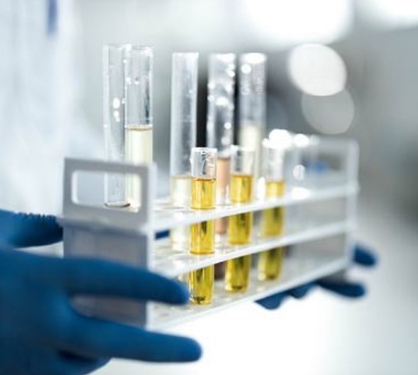 Annons:UT utbildning.jpg